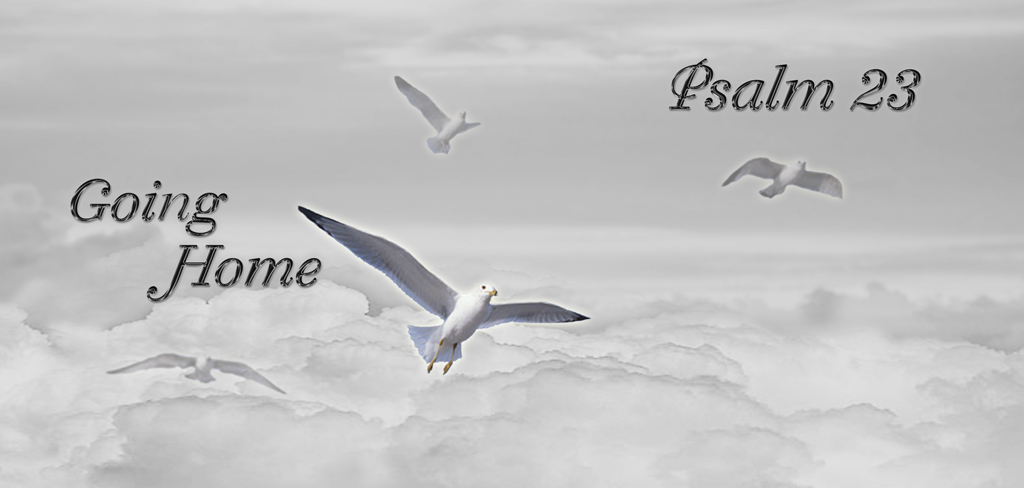 White Clouds Doves (Going Home Psalm 23) PROOF